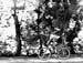 MarieBikes2 - 2000