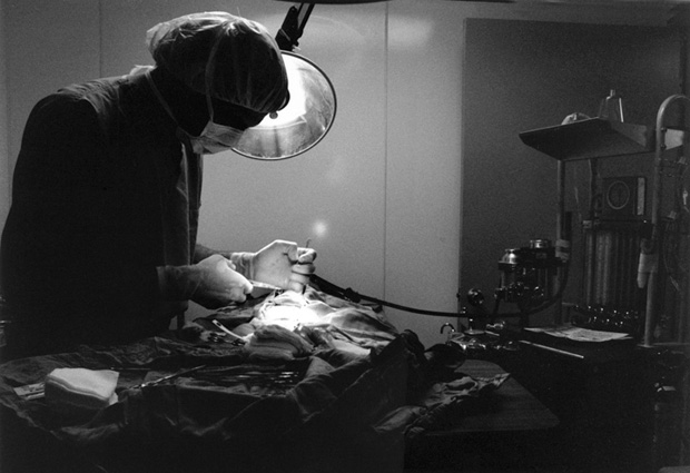 Veterinarian5 - 1995