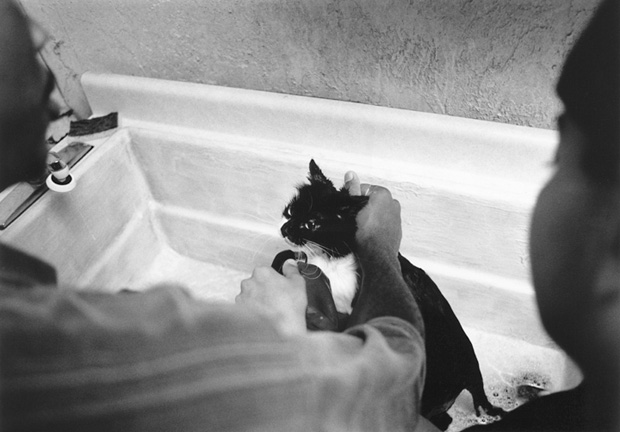 Veterinarian6 - 1995
