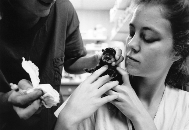 Veterinarian8 - 1995