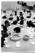CatShelterFeed1 - 1996