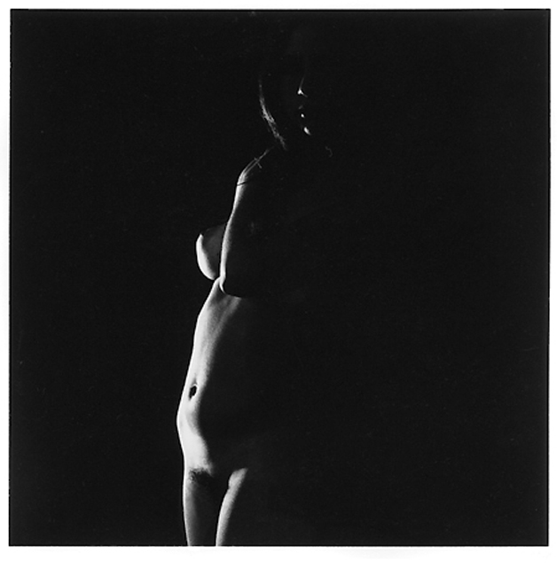 Robin'sRt[LightPorn] - 1972