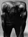 JohnShoulders - 1995