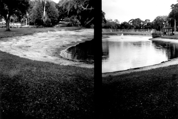GillespieParkDrought1 (Holga) - 2000
