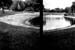 GillespieParkDrought1 (Holga) - 2000