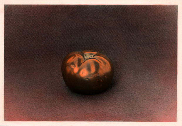 Tomato HandColor - 1987
