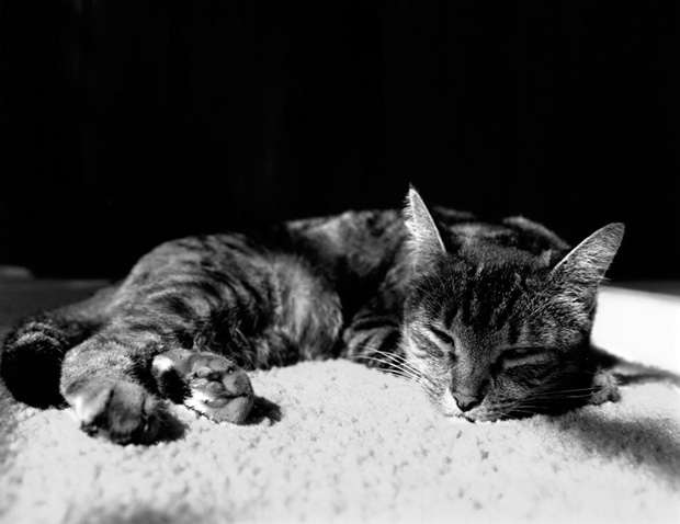 TubbsPeaceful c.1994
