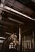 HorseBarn - 1991