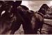 HorseCorral - 1991