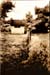 ToolShed - 1991